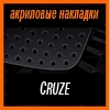    3D SPORTS PLATE  CRUZE 2008