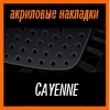    3D SPORTS PLATE  CAYENNE 2004